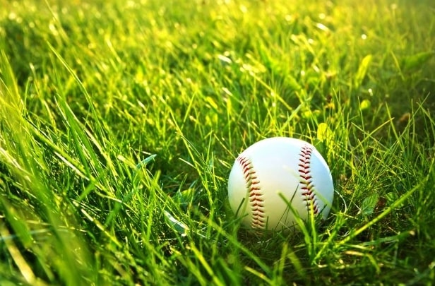 Baseball season