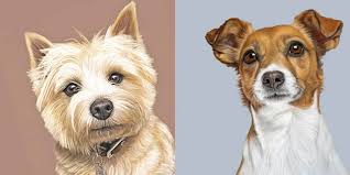 Hire a professional to create pet portraits